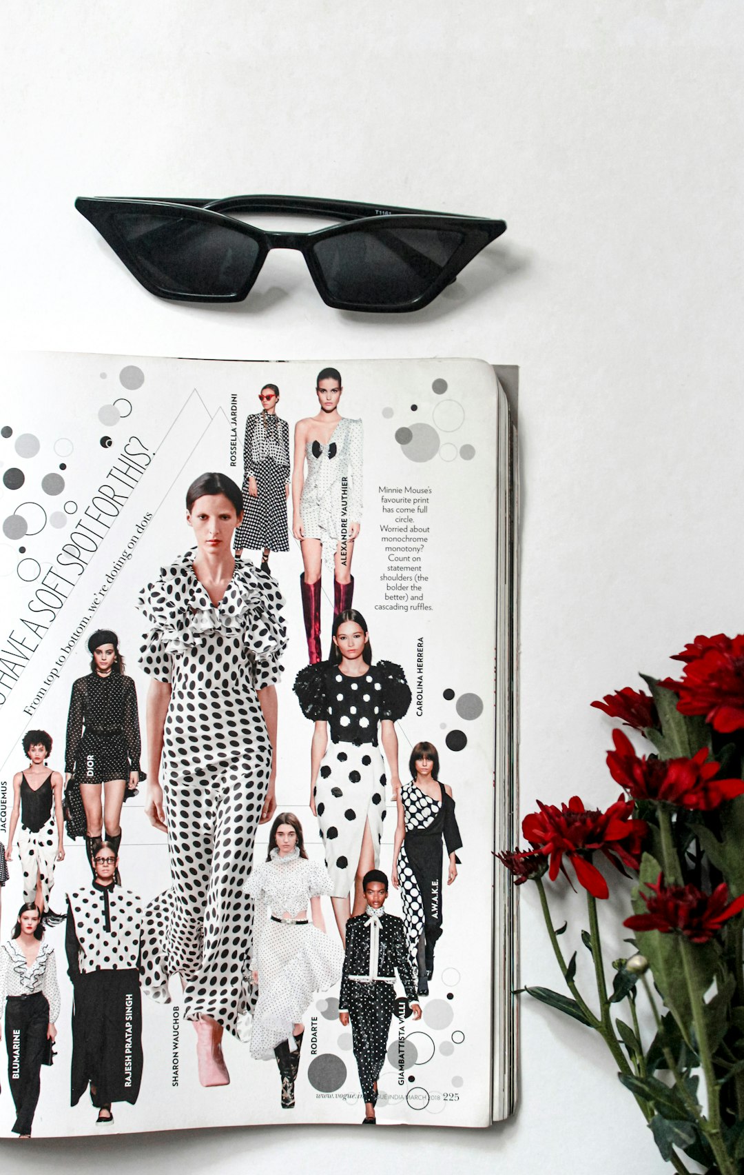 Model portfolio photoshoot